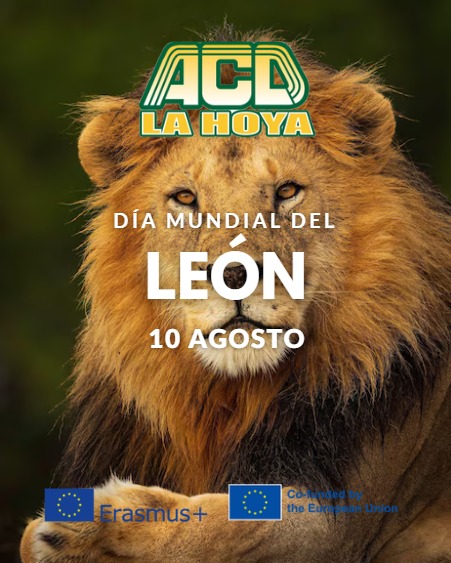 Puede ser una imagen de texto que dice "ACD LA HOY DÍA MUNDIAL DEL LEON 10 AGOSTO Erasmus+"