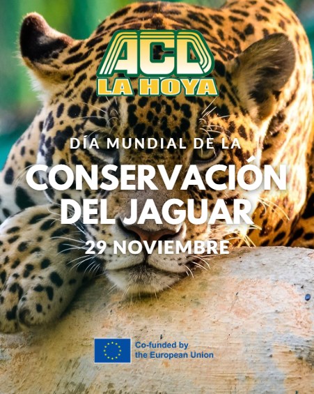 Puede ser una imagen de texto que dice "ACD LA HOY DÍA MUNDIAL DE DELA LA CONSERVACION DEL JAGUAR 29 NOVIEMBRE Co-funded by the European theEuropeanUnion Union"