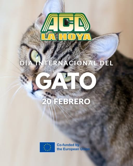 Puede ser una imagen de animal y texto que dice "ACD LA HOY DIA IAINTERNACIONAL ERNACIONALE INTERNAC DEL GATO 20 FEBRERO Co-funded by the European"