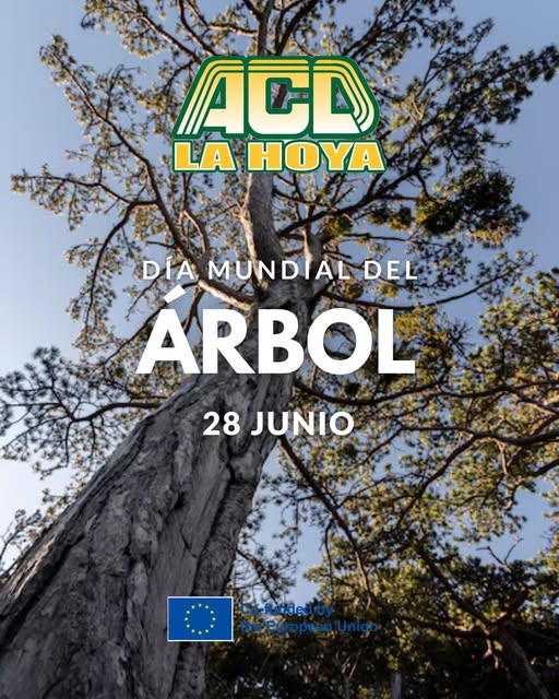 Puede ser una imagen de árbol y texto que dice "ACO LA HOY DÍA MUNDIAL DEL ARBOL 28 JUNIO funded European PuropeanUnior Union"